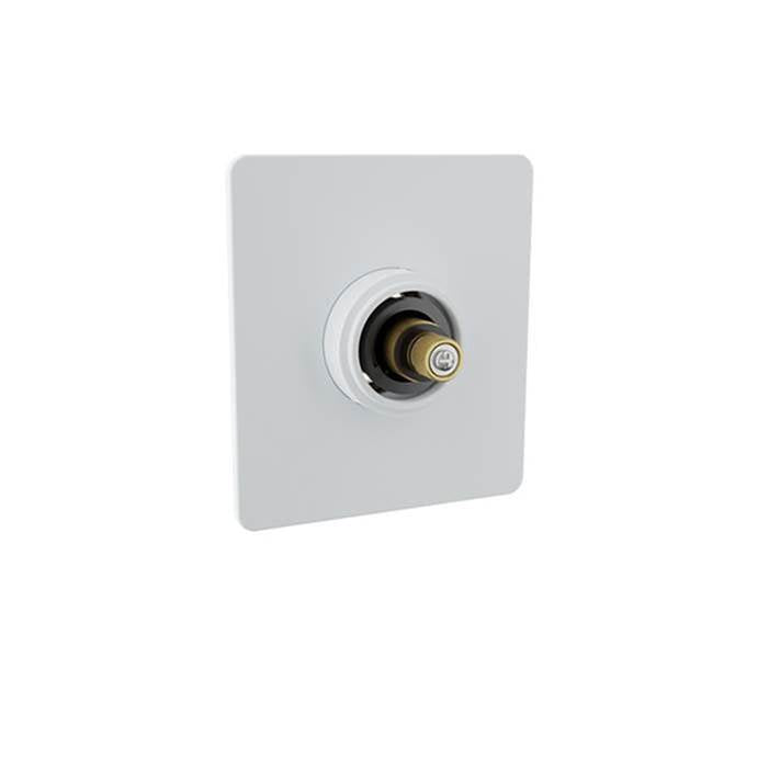 BARiL T80-9402-00 Trim Only For 3/4" Thermostatic Valve - Parent