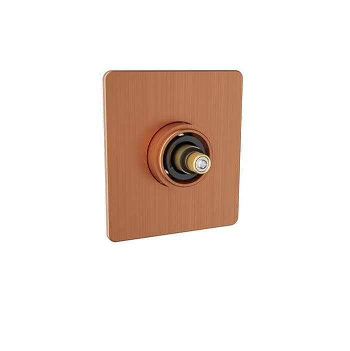 BARiL T80-9402-00 Trim Only For 3/4" Thermostatic Valve