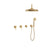 BARiL PRR-3304-20 Complete Thermostatic Shower Kit