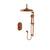 BARiL PRR-4203-20 Complete Thermostatic Pressure-Balanced Shower Kit