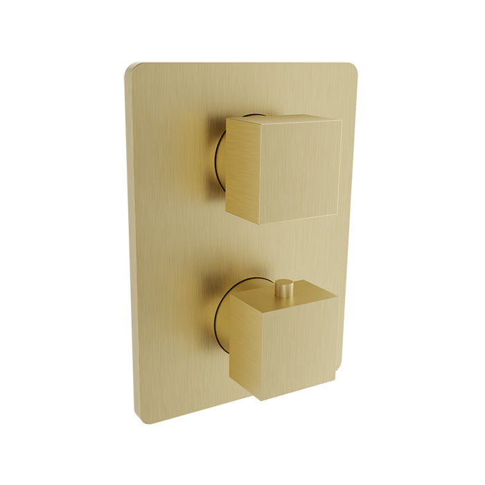 BARiL T05-9521-01 Trim Only For Thermostatic Pressure-Balanced Shower Control Valve With 2-Way Diverter