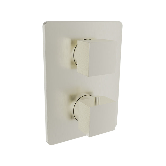 BARiL T05-9521-01-NS Trim Only For Thermostatic Pressure-Balanced Shower Control Valve With 2-Way Diverter