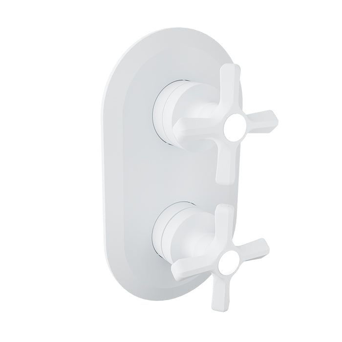 BARiL T20-9522-01-NS Trim Only For Thermostatic Pressure-Balanced Shower Control Valve With 2-Way Diverter - Parent