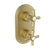 BARiL T20-9532-01-NS Trim Only For Thermostatic Pressure-Balanced Shower Control Valve With 3-Way Diverter