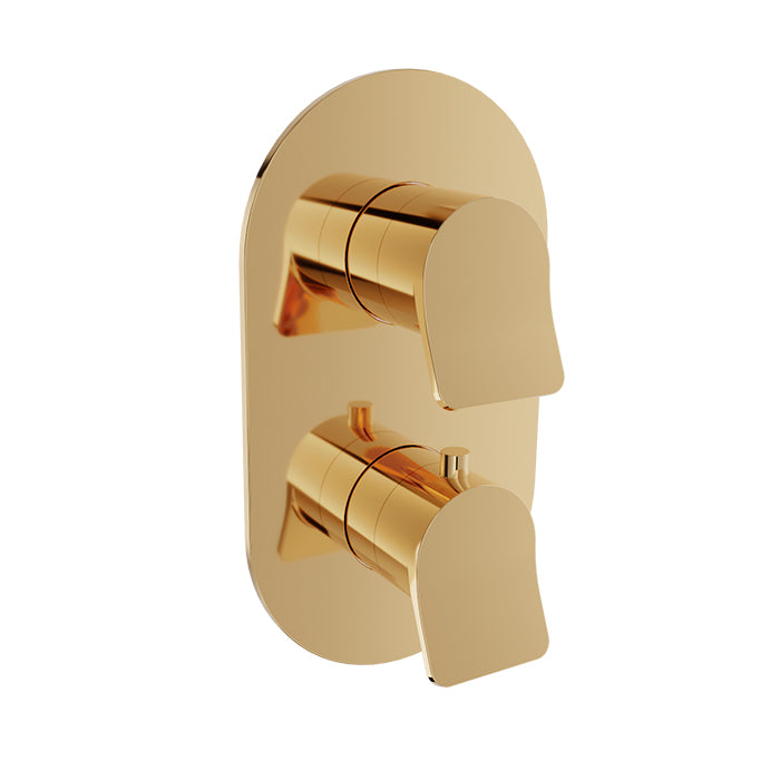 BARiL T46-9531-01 Trim Only For Thermostatic Pressure-Balanced Shower Control Valve With 3-Way Diverter