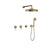 BARiL TRO-3304-20 Trim Only For Thermostatic Shower Kit