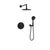 BARiL TRO-4298-66 Trim Only For Thermostatic Pressure-Balanced Shower Kit