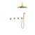 BARiL TRR-3304-20 Trim Only For Thermostatic Shower Kit