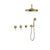 BARiL TRR-3304-20-NS Trim Only For Thermostatic Shower Kit