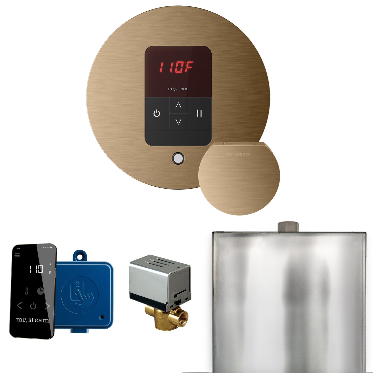 Mr. Steam BBR Basic Butler Steam Shower Control Package with Round iTempo Control and Steamhead - Parent