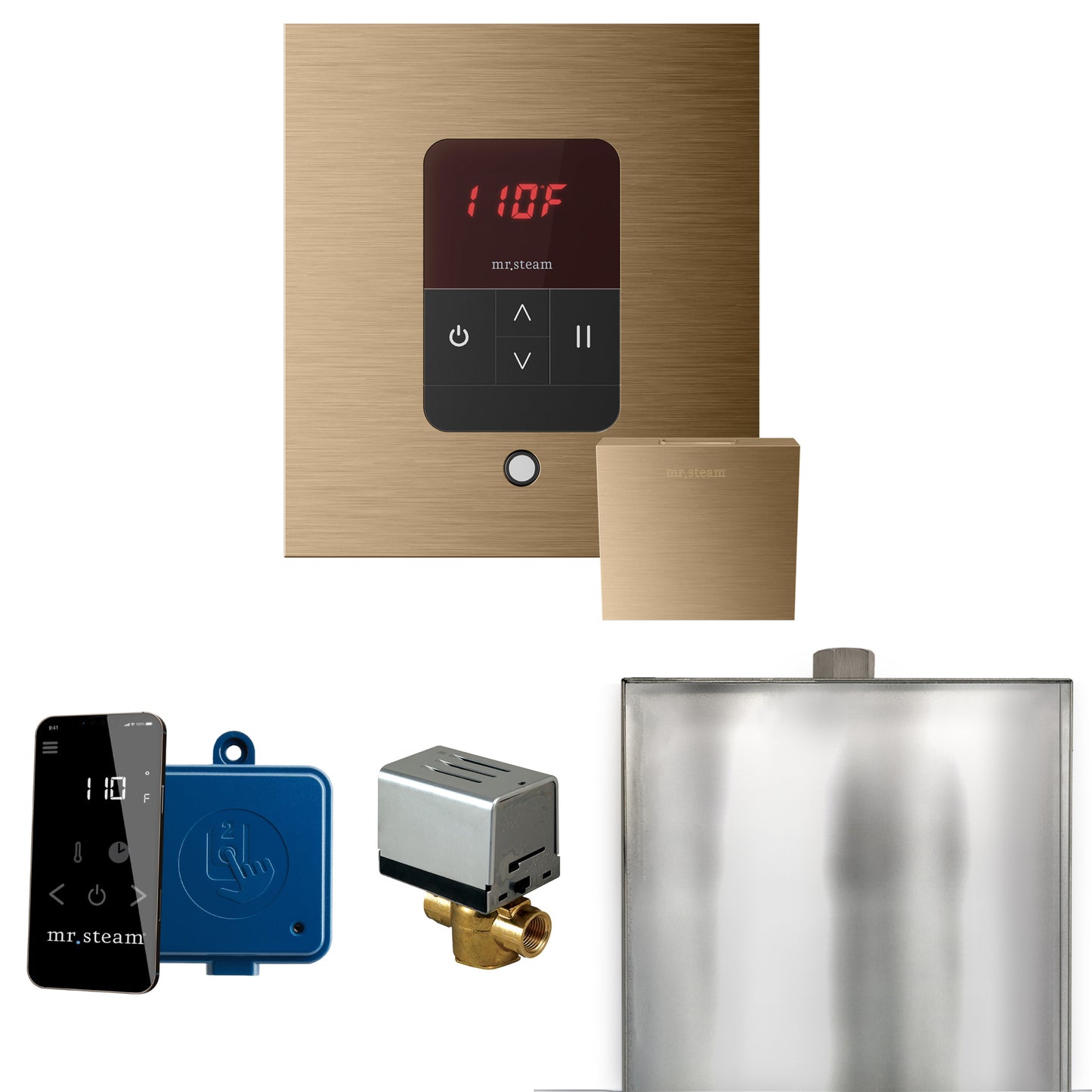 Mr. Steam BBS Basic Butler Steam Shower Control Package with Square iTempo Control and Steamhead - Parent