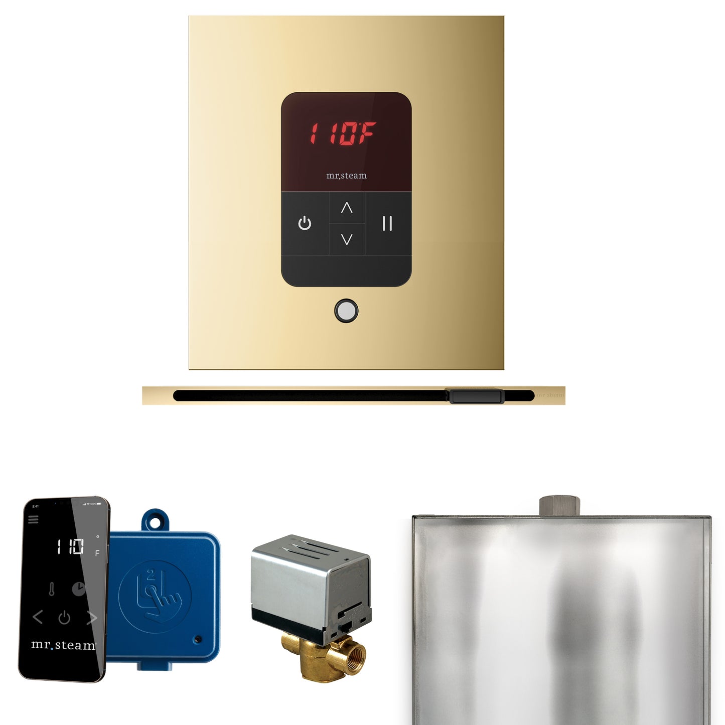 Mr. Steam BBSL Basic Butler Steam Shower Control Package with Square iTempo Control and Linear Steamhead