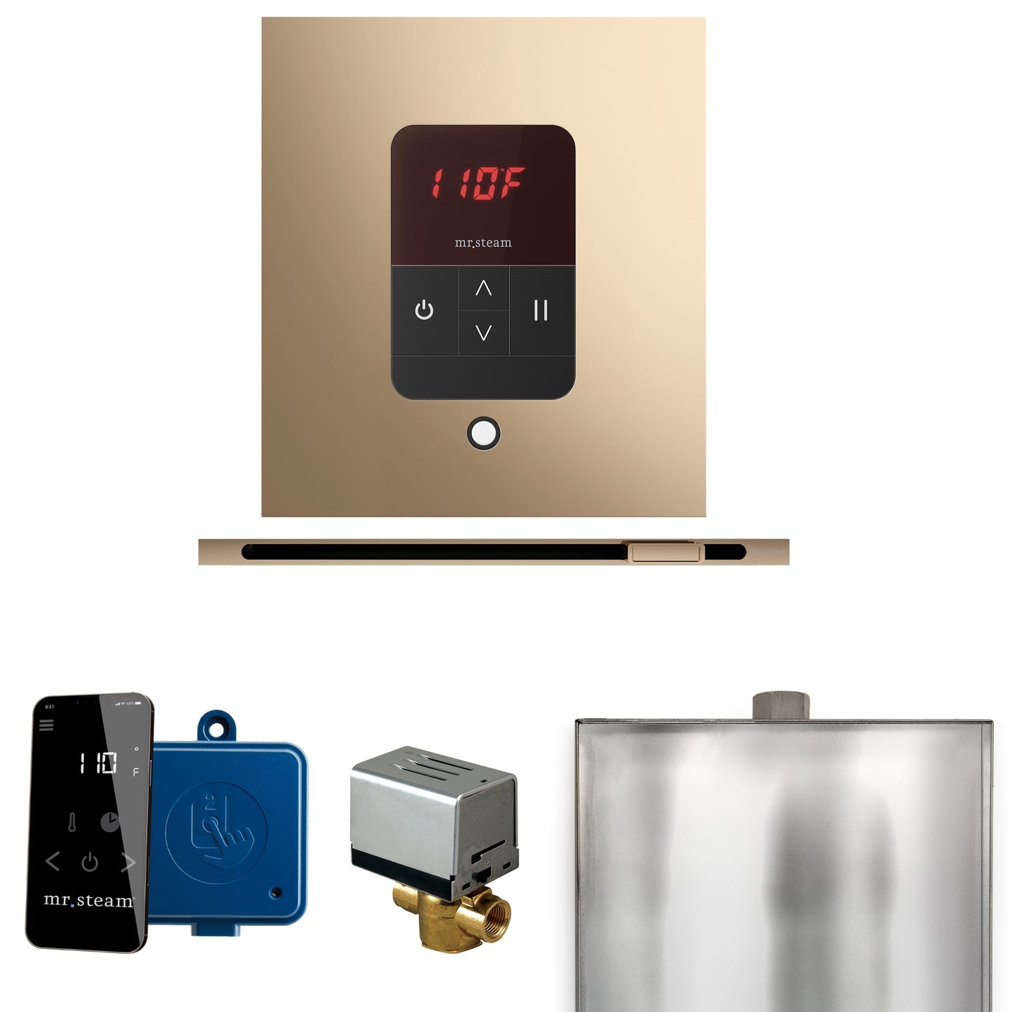 Mr. Steam BBSL Basic Butler Steam Shower Control Package with Square iTempo Control and Linear Steamhead
