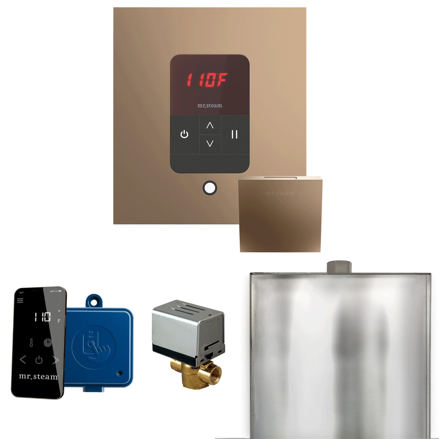 Mr. Steam BBS Basic Butler Steam Shower Control Package with Square iTempo Control and Steamhead