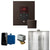 Mr. Steam BBS Basic Butler Steam Shower Control Package with Square iTempo Control and Steamhead