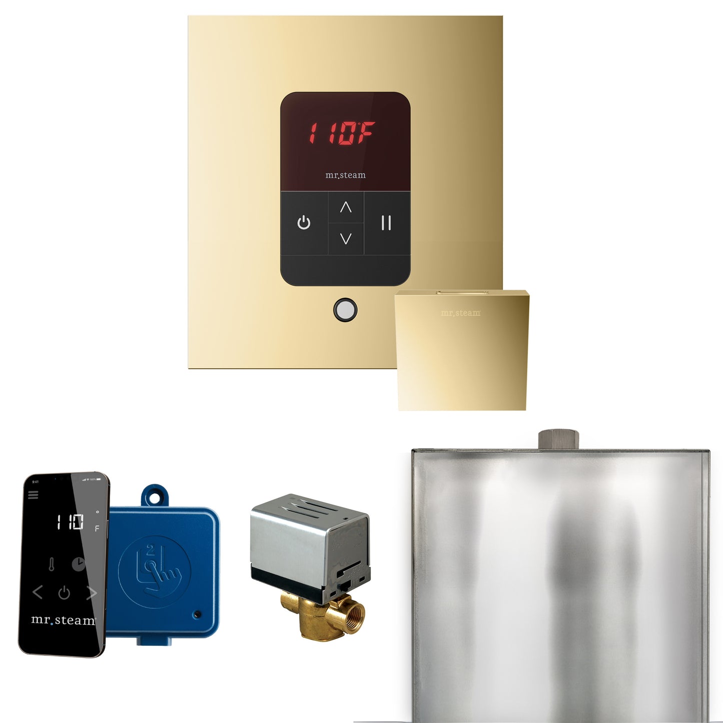 Mr. Steam BBS Basic Butler Steam Shower Control Package with Square iTempo Control and Steamhead