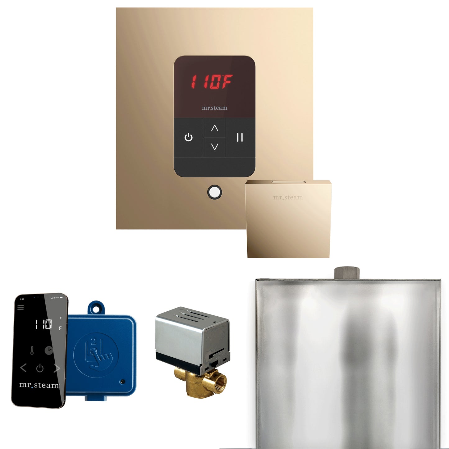 Mr. Steam BBS Basic Butler Steam Shower Control Package with Square iTempo Control and Steamhead