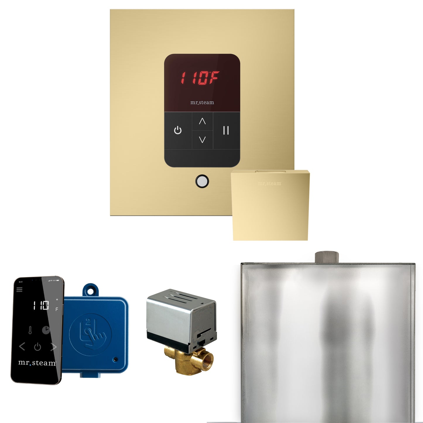 Mr. Steam BBS Basic Butler Steam Shower Control Package with Square iTempo Control and Steamhead