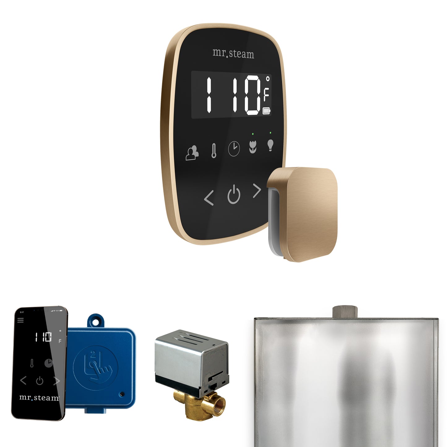 Mr. Steam BF ButlerFlex Steam Shower Control Package with TempoFlex Control and Steamhead - Parent