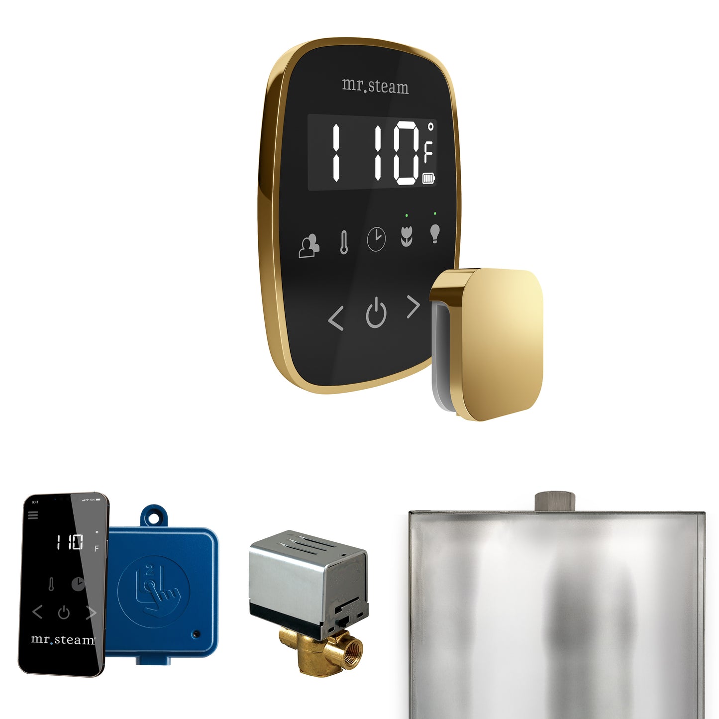 Mr. Steam BF ButlerFlex Steam Shower Control Package with TempoFlex Control and Steamhead