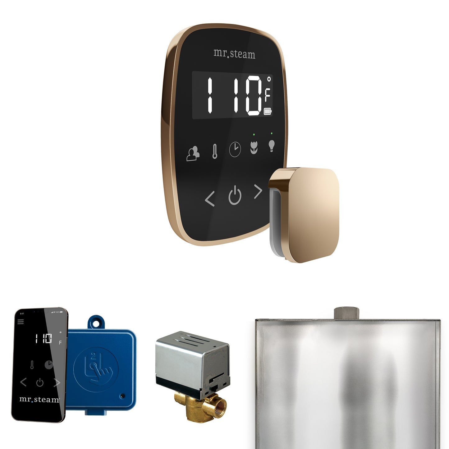 Mr. Steam BF ButlerFlex Steam Shower Control Package with TempoFlex Control and Steamhead