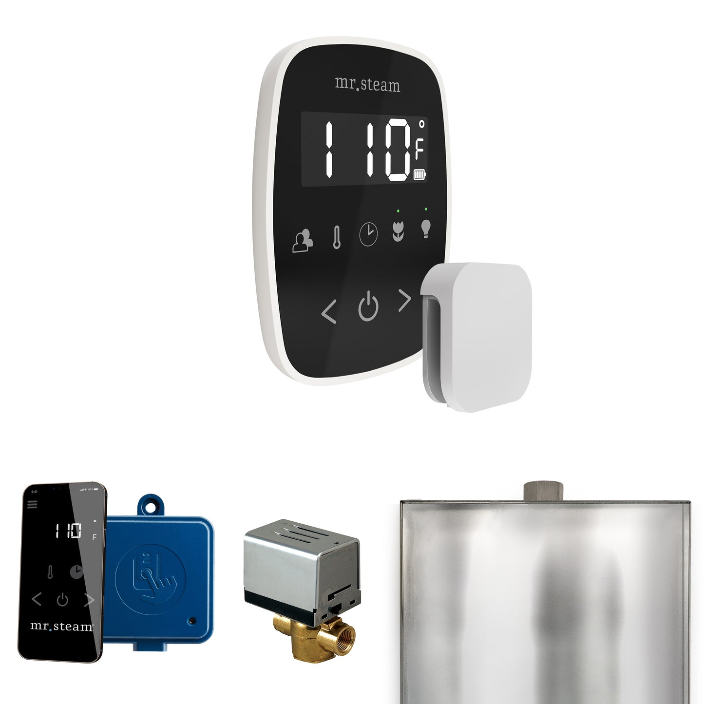 Mr. Steam BF ButlerFlex Steam Shower Control Package with TempoFlex Control and Steamhead