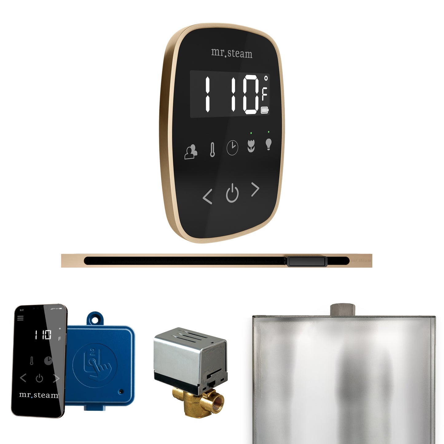 Mr. Steam BFL ButlerFlex Steam Shower Control Package with TempoFlex Control and Linear Steamhead - Parent