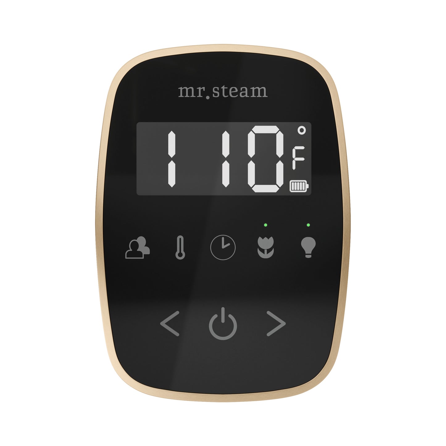 Mr. Steam BFL ButlerFlex Steam Shower Control Package with TempoFlex Control and Linear Steamhead - Parent