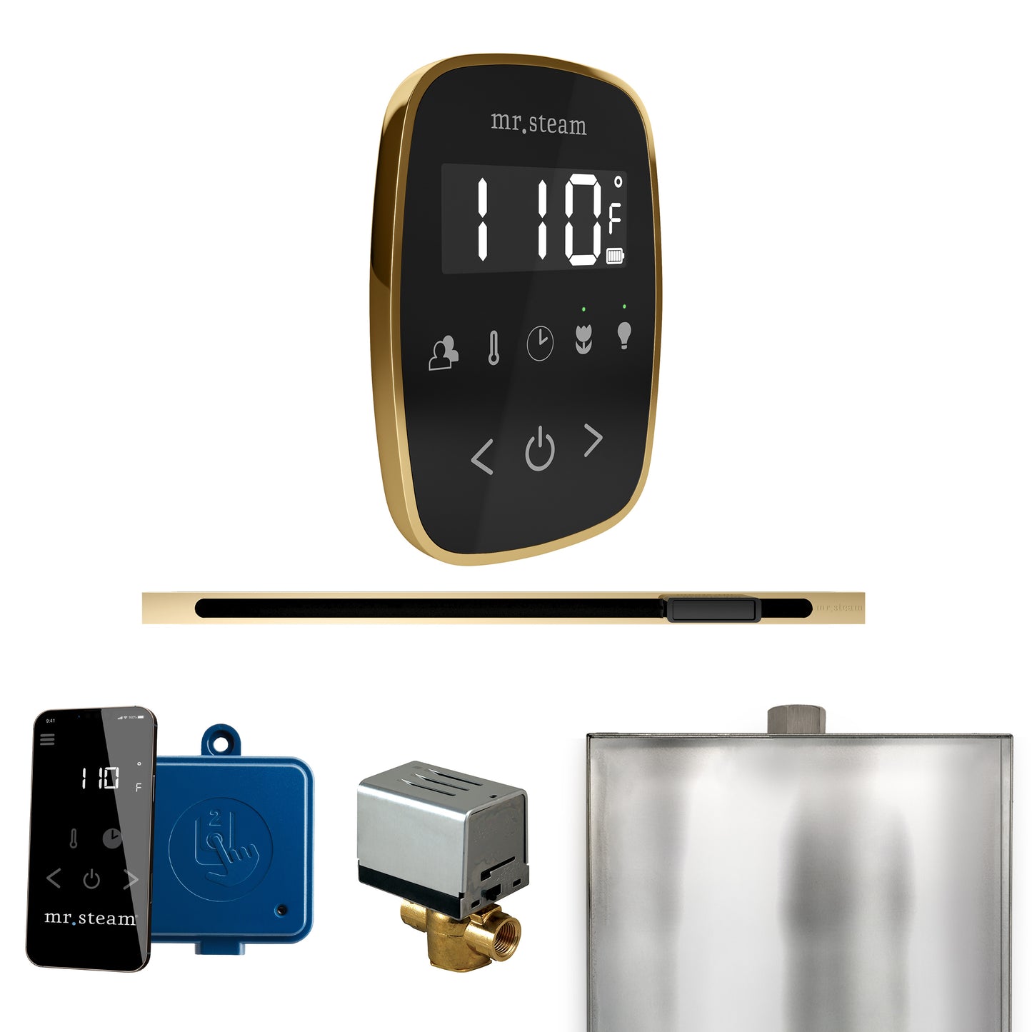 Mr. Steam BFL ButlerFlex Steam Shower Control Package with TempoFlex Control and Linear Steamhead
