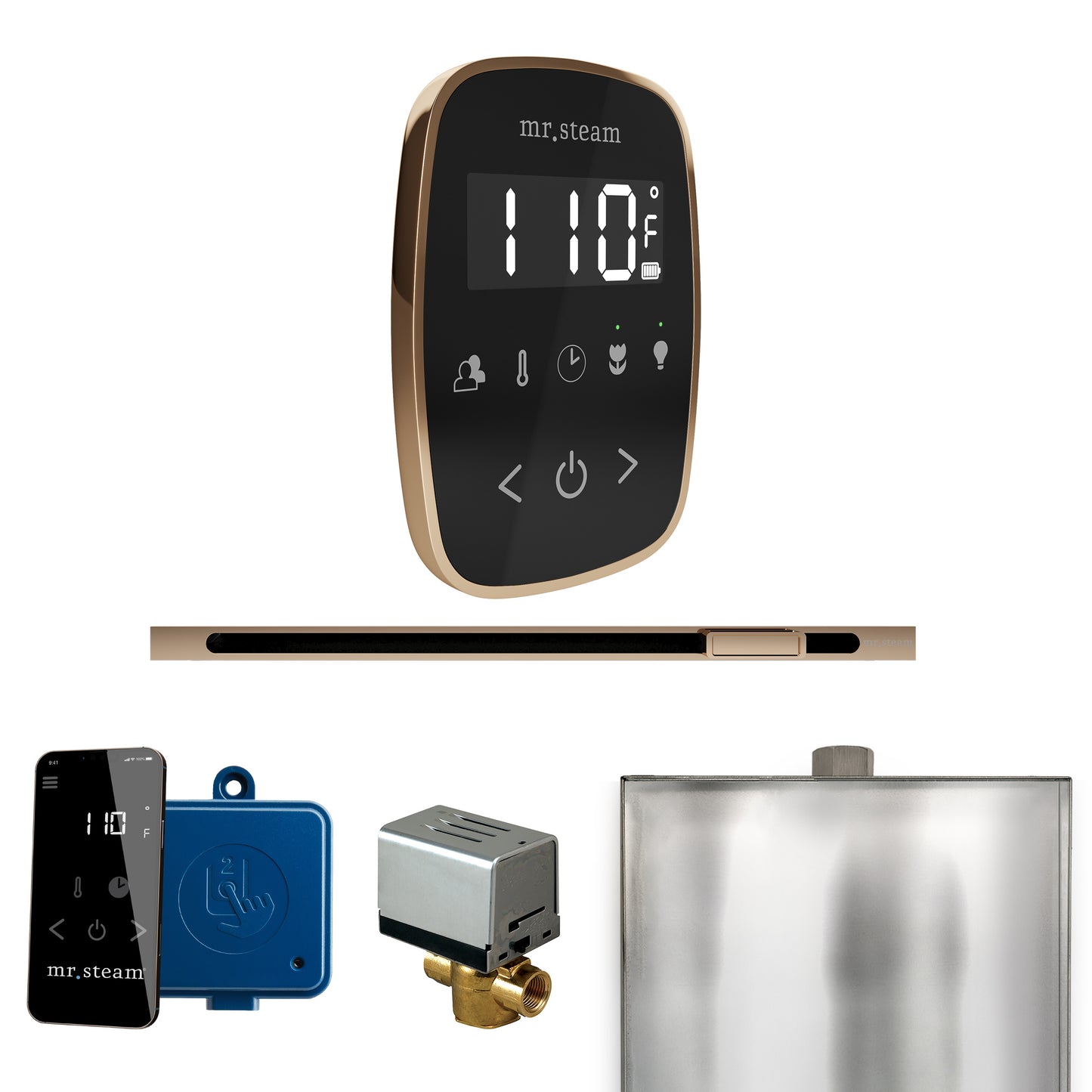 Mr. Steam BFL ButlerFlex Steam Shower Control Package with TempoFlex Control and Linear Steamhead