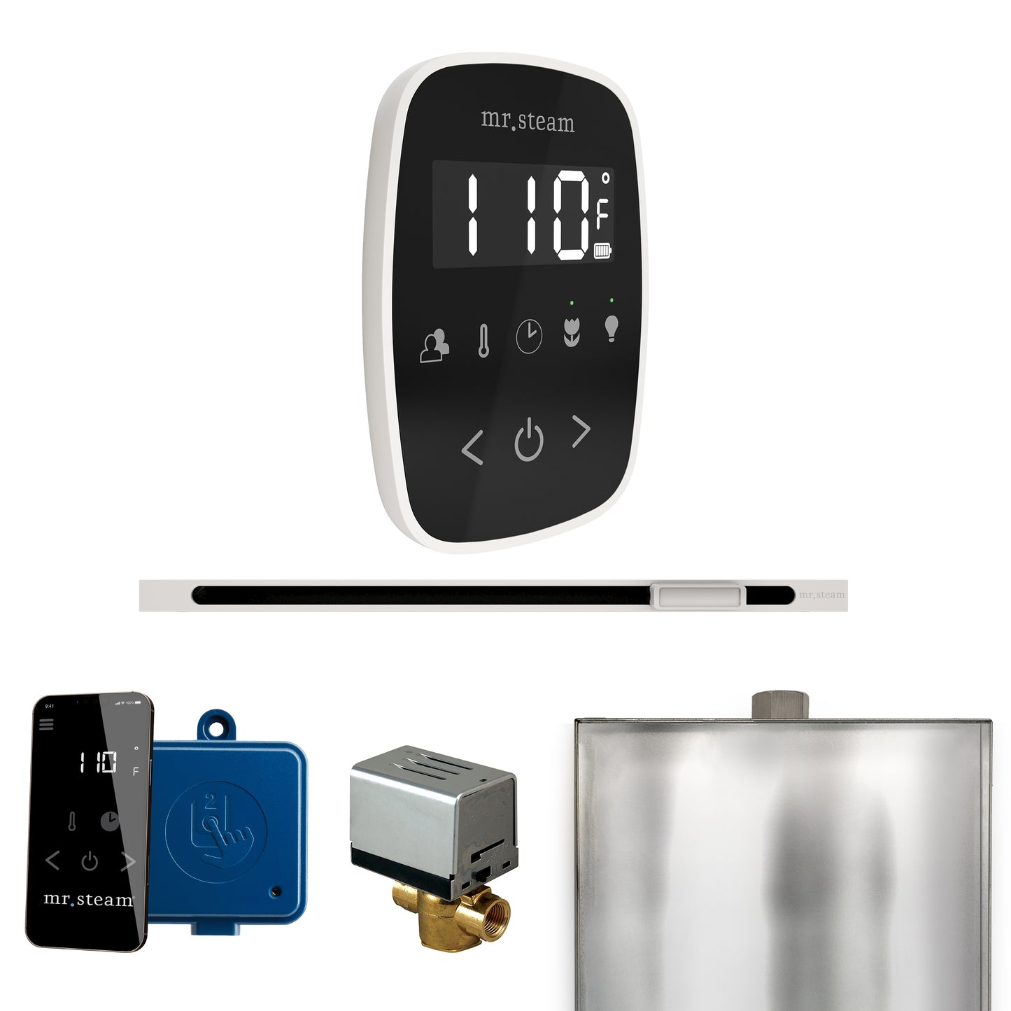 Mr. Steam BFL ButlerFlex Steam Shower Control Package with TempoFlex Control and Linear Steamhead