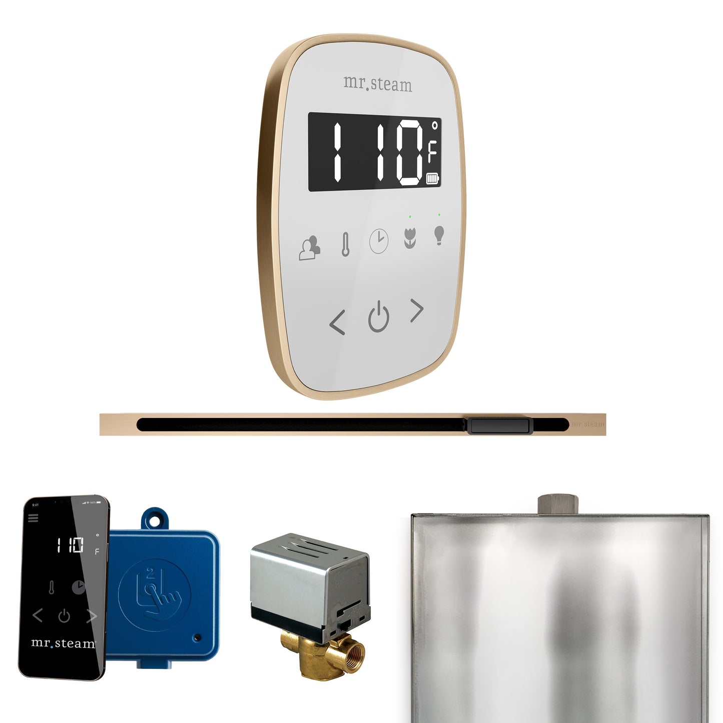 Mr. Steam BFL ButlerFlex Steam Shower Control Package with TempoFlex Control and Linear Steamhead