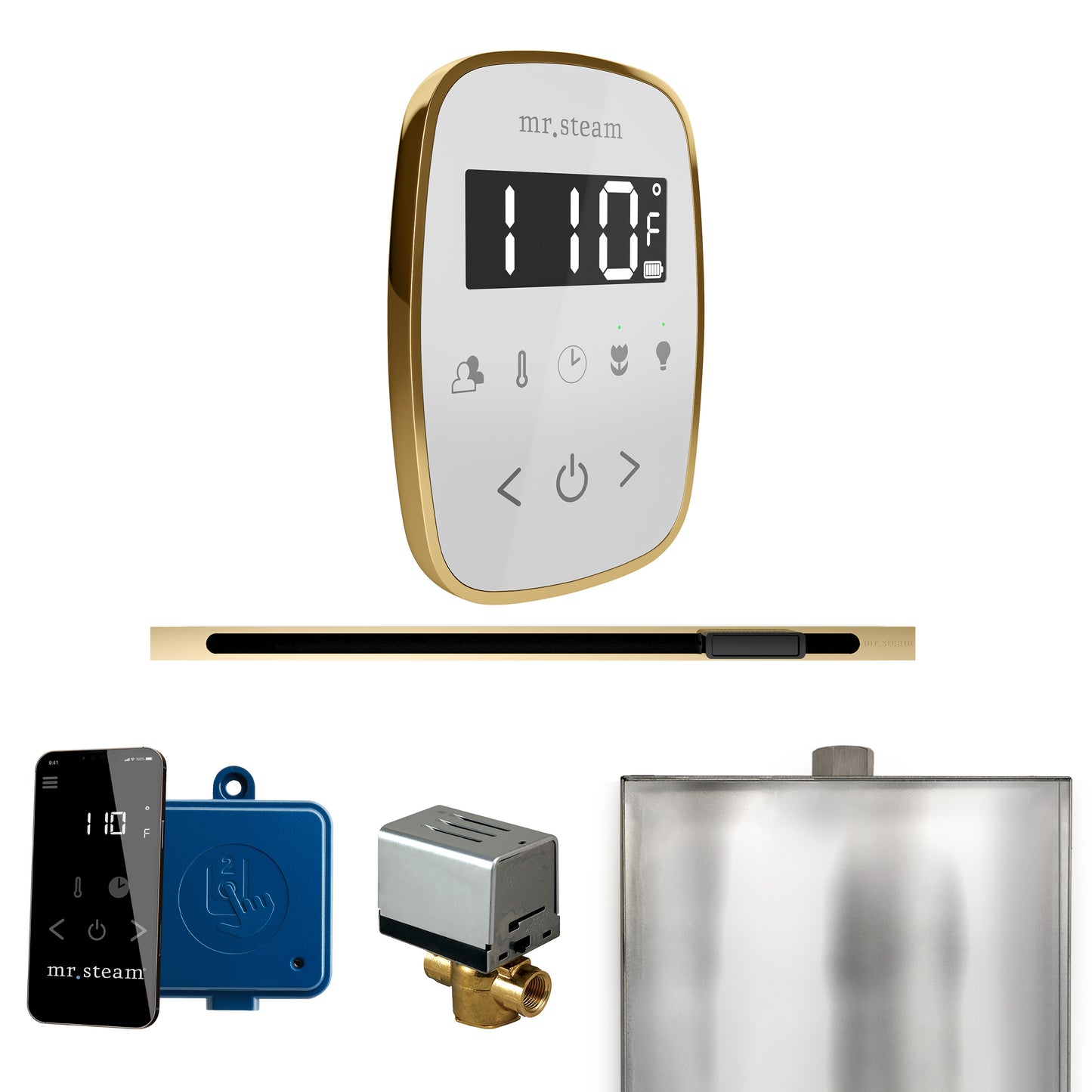 Mr. Steam BFL ButlerFlex Steam Shower Control Package with TempoFlex Control and Linear Steamhead