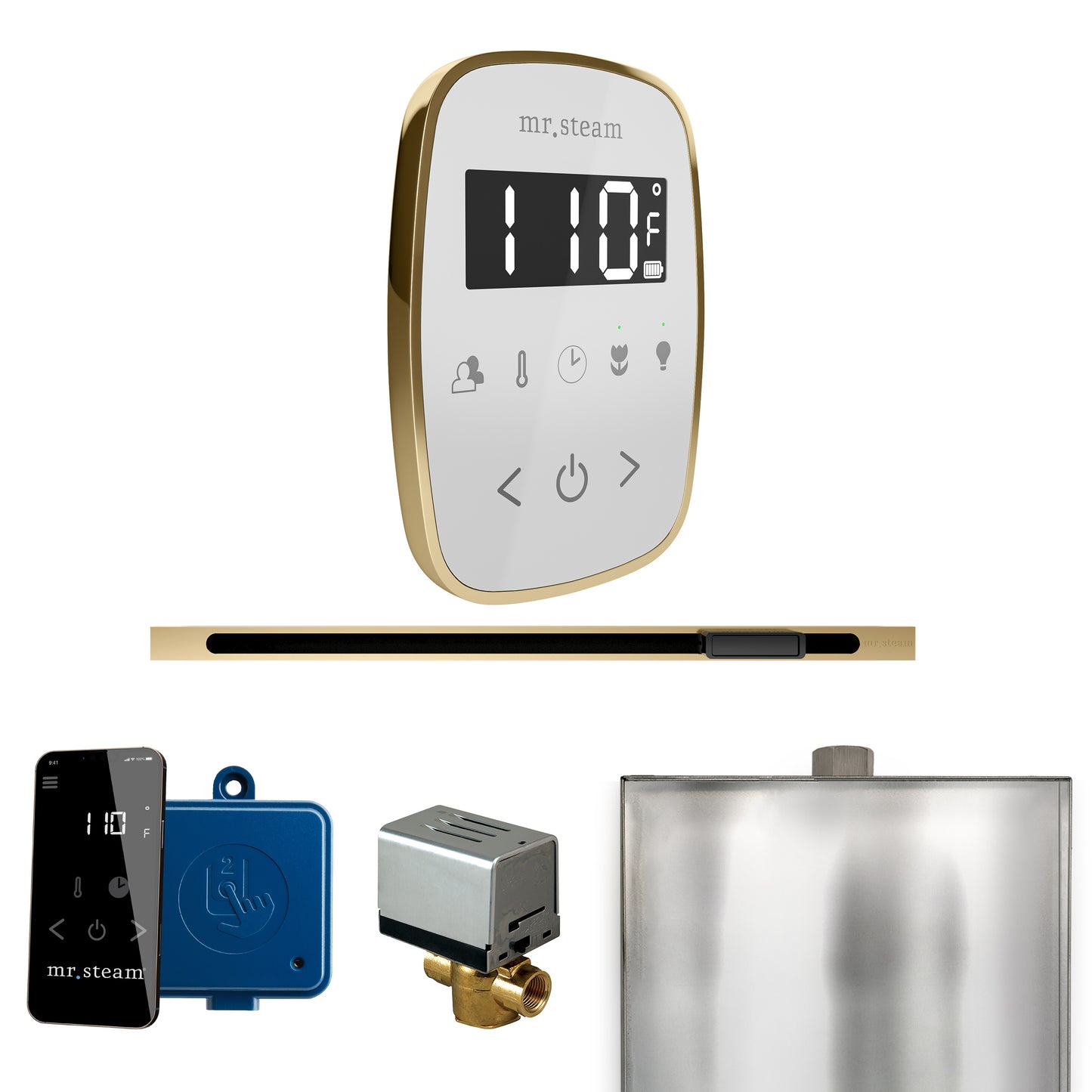 Mr. Steam BFL ButlerFlex Steam Shower Control Package with TempoFlex Control and Linear Steamhead