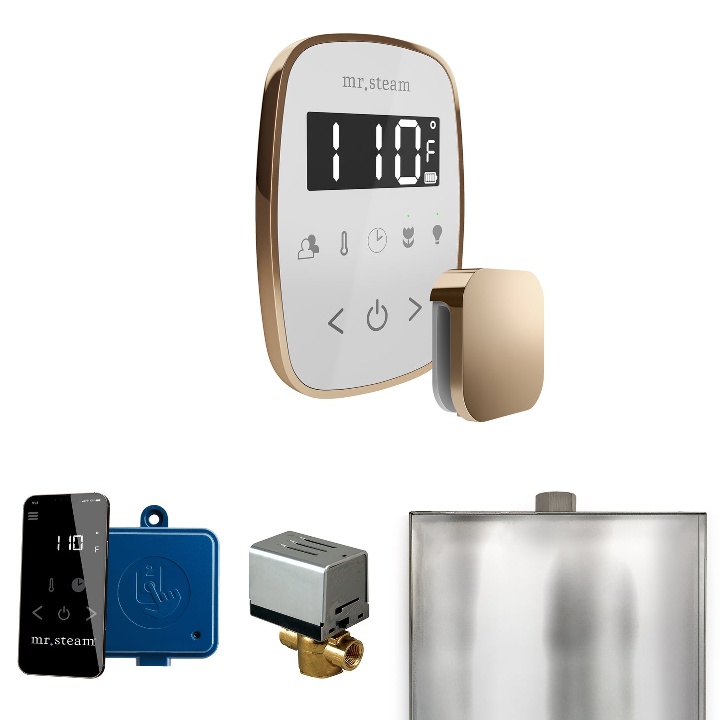 Mr. Steam BF ButlerFlex Steam Shower Control Package with TempoFlex Control and Steamhead