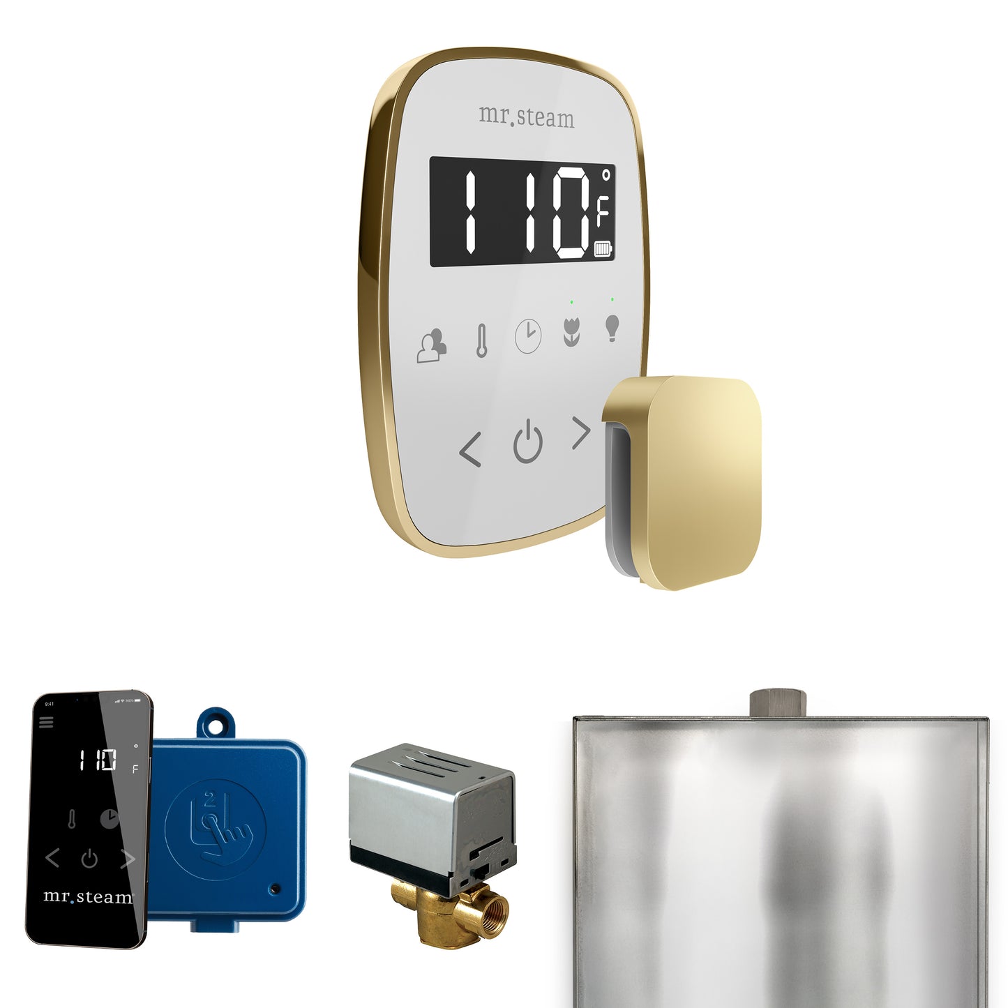 Mr. Steam BF ButlerFlex Steam Shower Control Package with TempoFlex Control and Steamhead