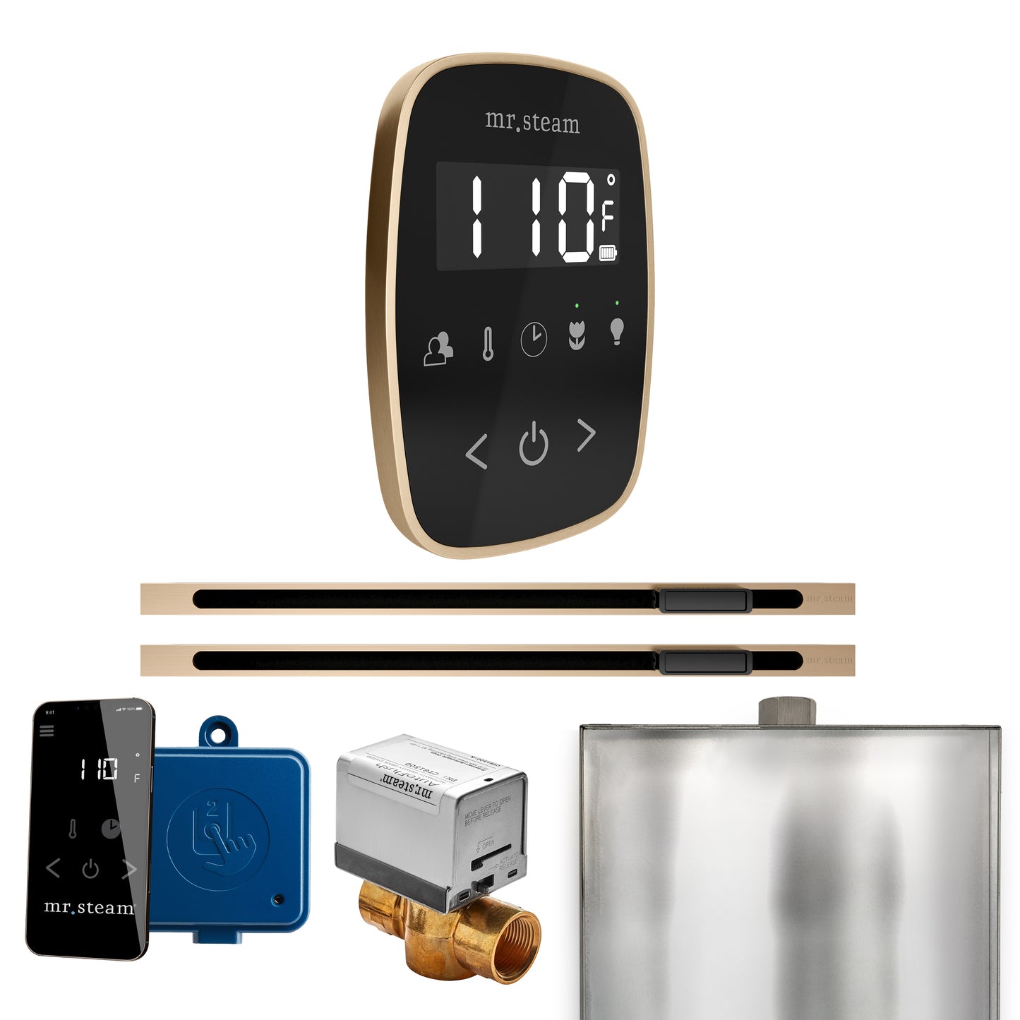 Mr. Steam BFXL ButlerFlex Max Steam Shower Control Package with TempoFlex Control and Linear Steamhead