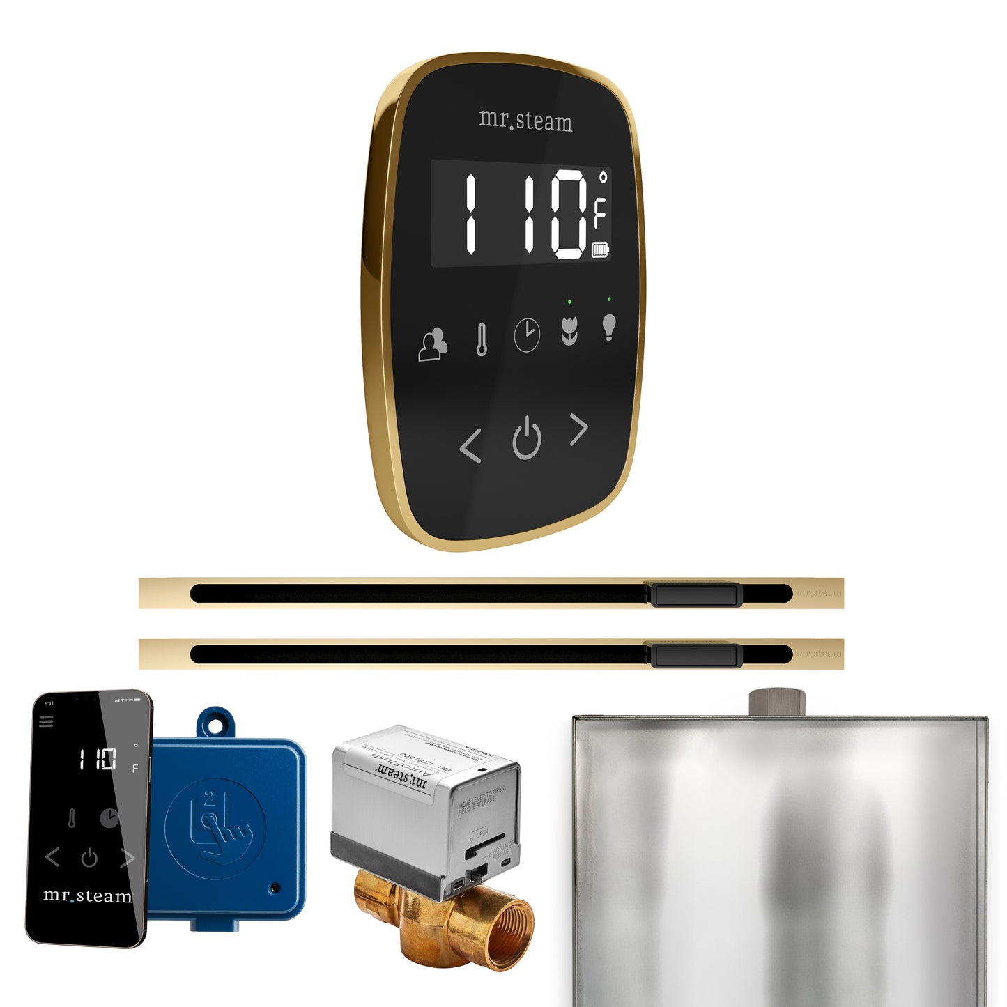 Mr. Steam BFXL ButlerFlex Max Steam Shower Control Package with TempoFlex Control and Linear Steamhead
