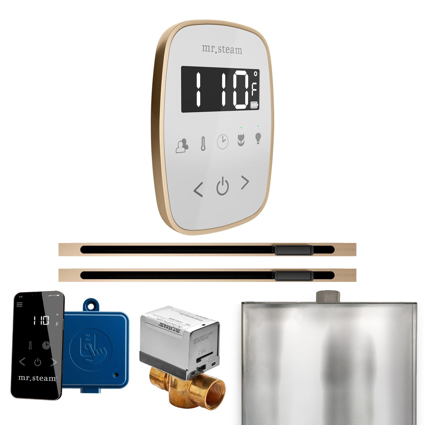 Mr. Steam BFXL ButlerFlex Max Steam Shower Control Package with TempoFlex Control and Linear Steamhead