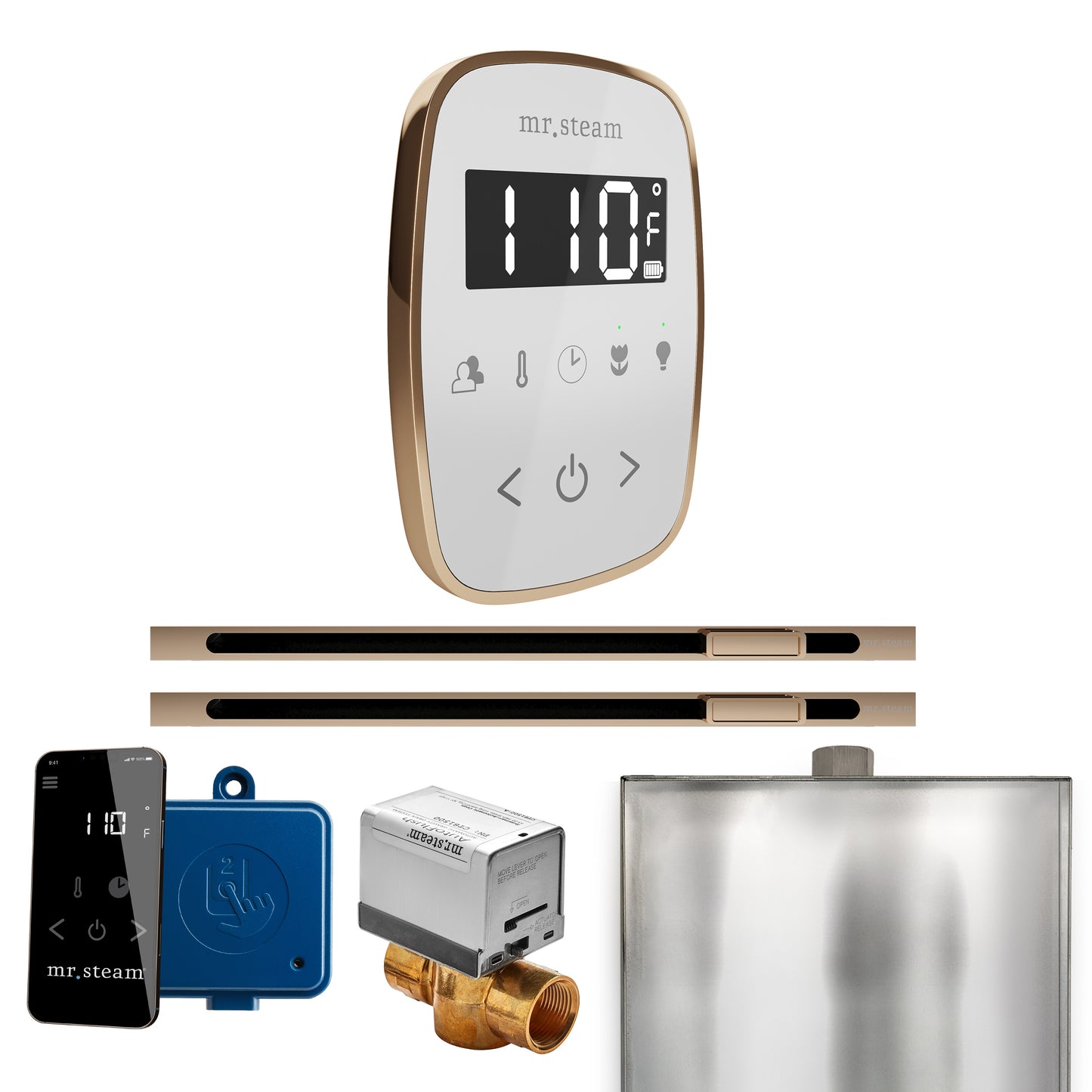 Mr. Steam BFXL ButlerFlex Max Steam Shower Control Package with TempoFlex Control and Linear Steamhead