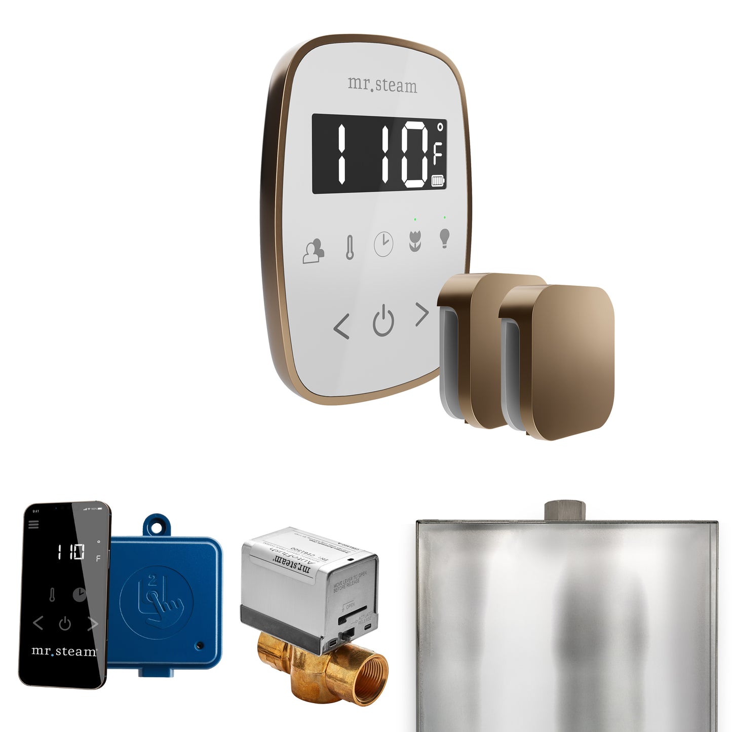 Mr. Steam BFX ButlerFlex Max Steam Shower Control Package with TempoFlex Control and Steamhead