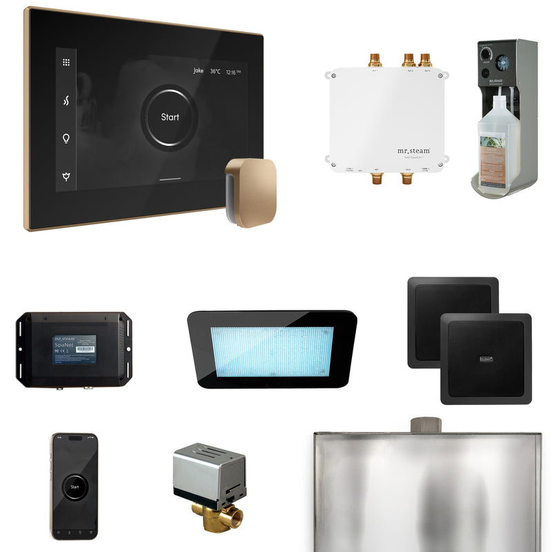 Mr. Steam BLS1 Bliss Steam Shower Control Package with iSteamX Control and Steamhead - Parent