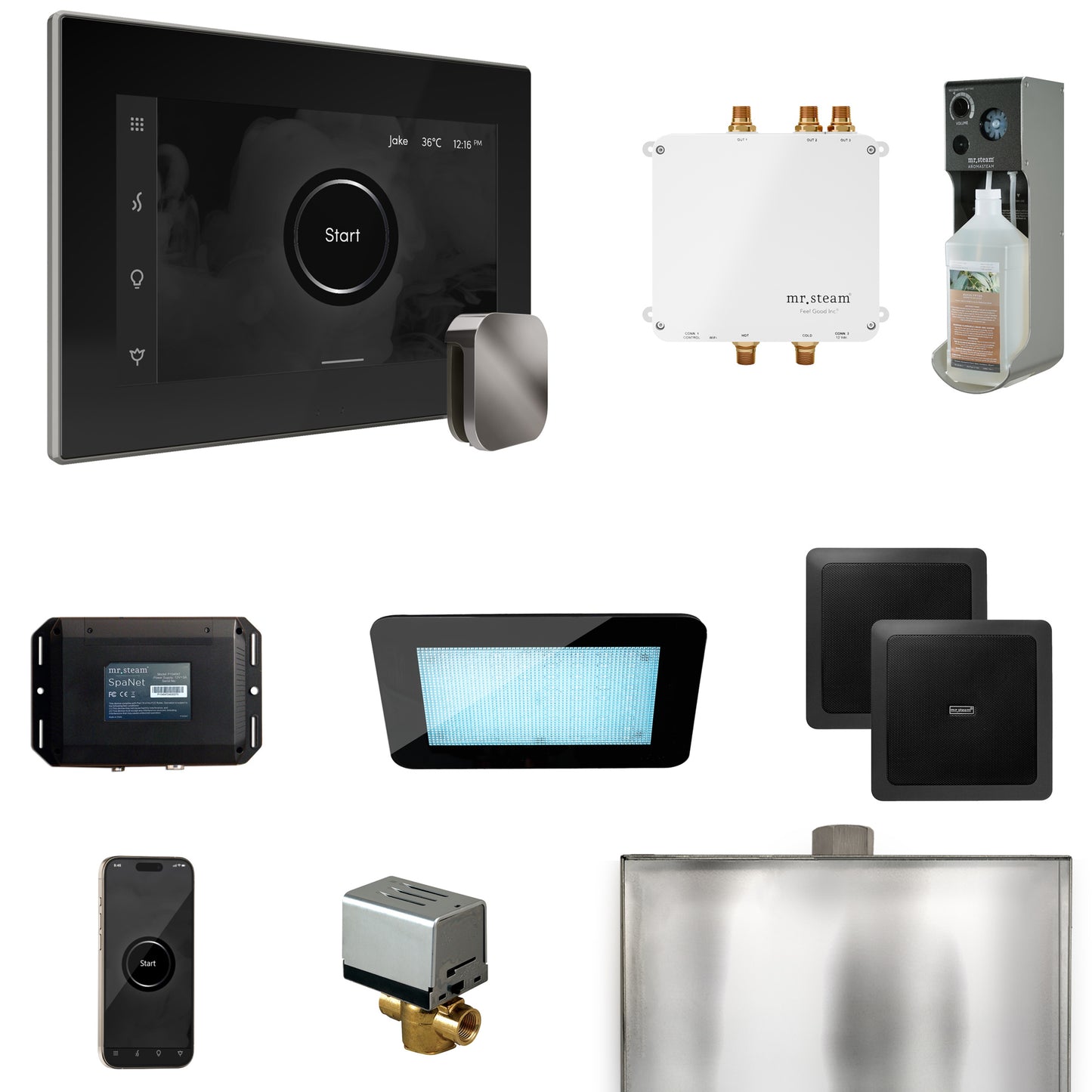 Mr. Steam BLS1 Bliss Steam Shower Control Package with iSteamX Control and Steamhead