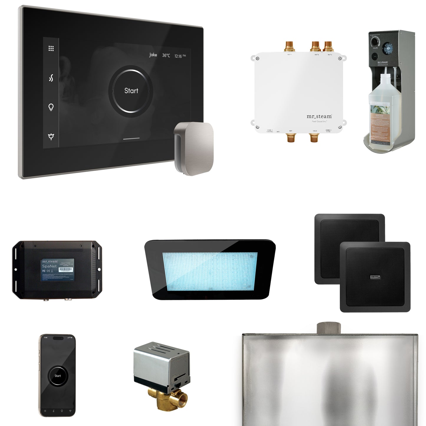 Mr. Steam BLS1 Bliss Steam Shower Control Package with iSteamX Control and Steamhead