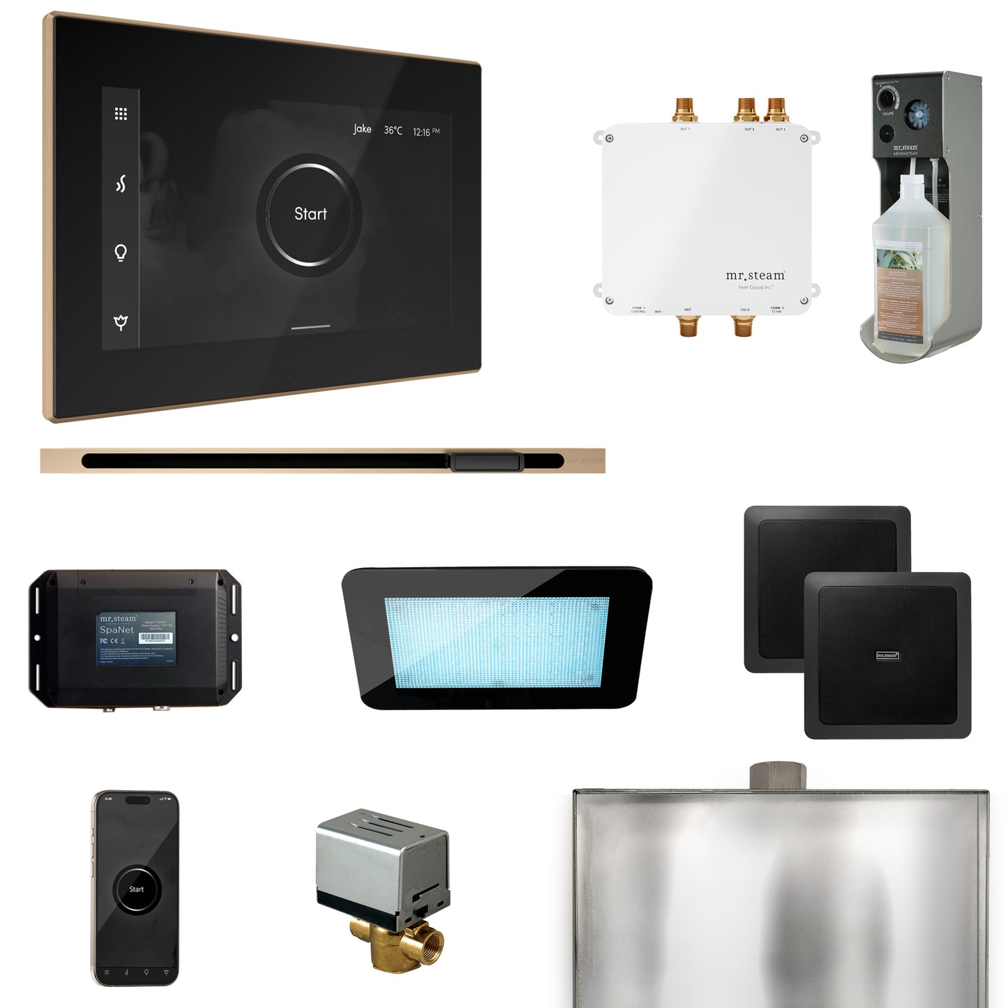 Mr. Steam BLS1-L Bliss Steam Shower Control Package with iSteamX Control and Linear Steamhead - Parent