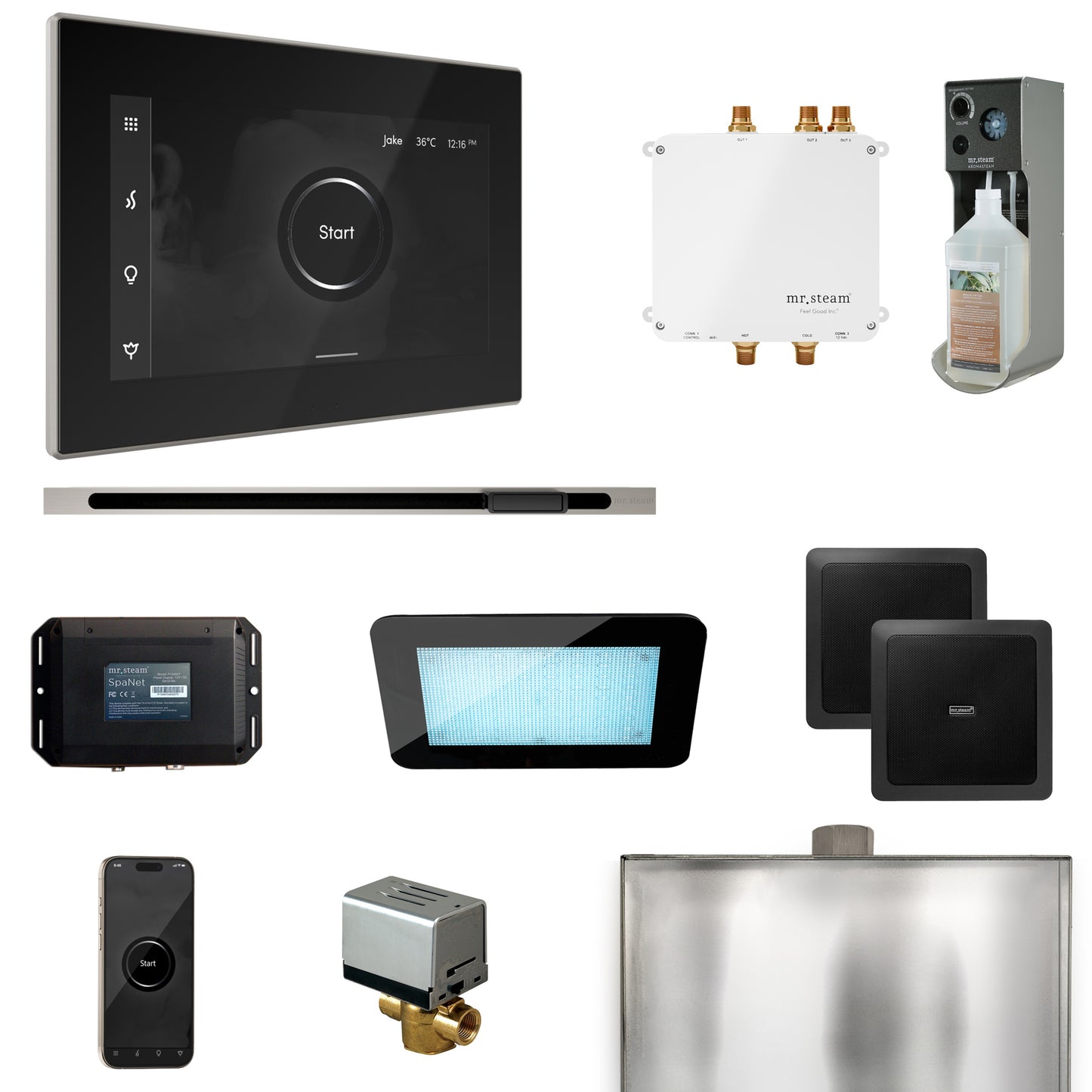 Mr. Steam BLS1-L Bliss Steam Shower Control Package with iSteamX Control and Linear Steamhead