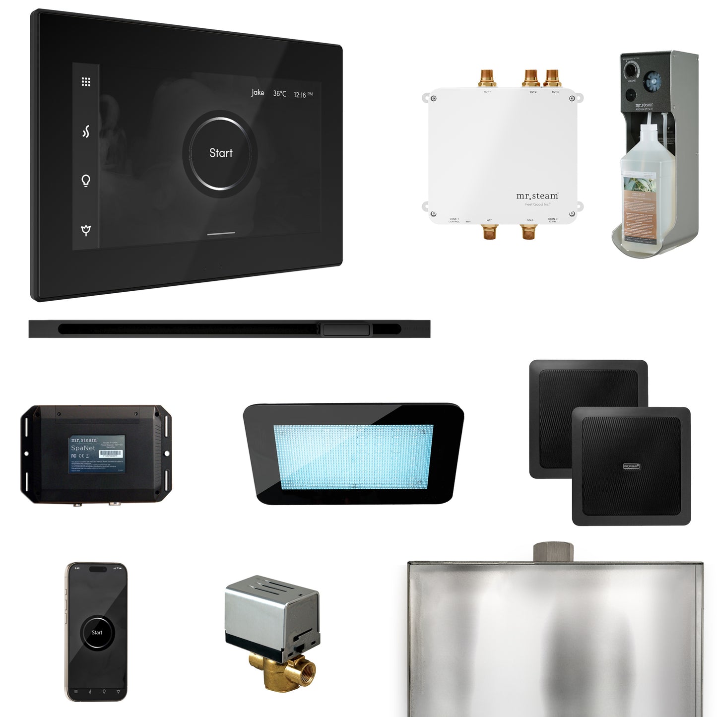 Mr. Steam BLS1-L Bliss Steam Shower Control Package with iSteamX Control and Linear Steamhead