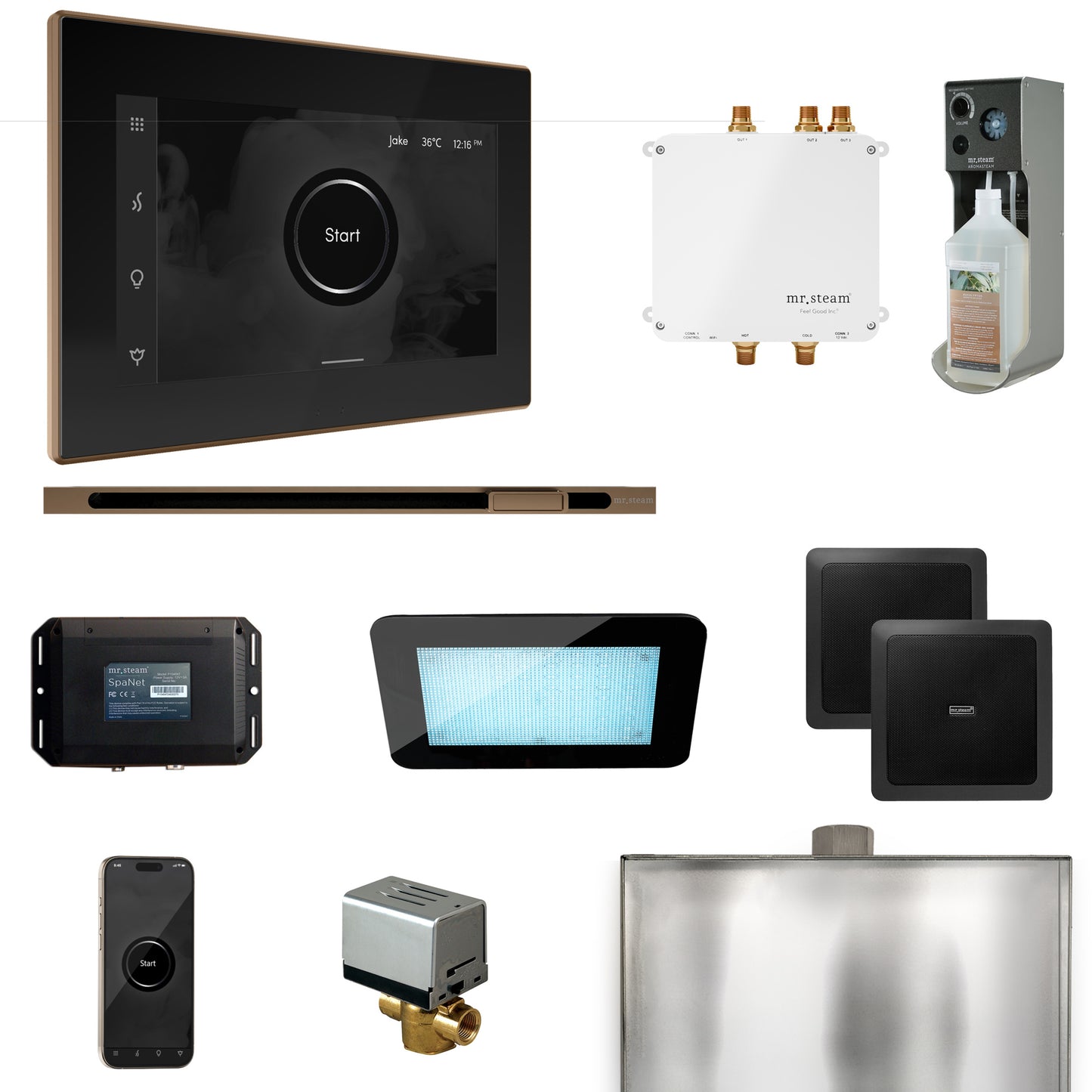 Mr. Steam BLS1-L Bliss Steam Shower Control Package with iSteamX Control and Linear Steamhead