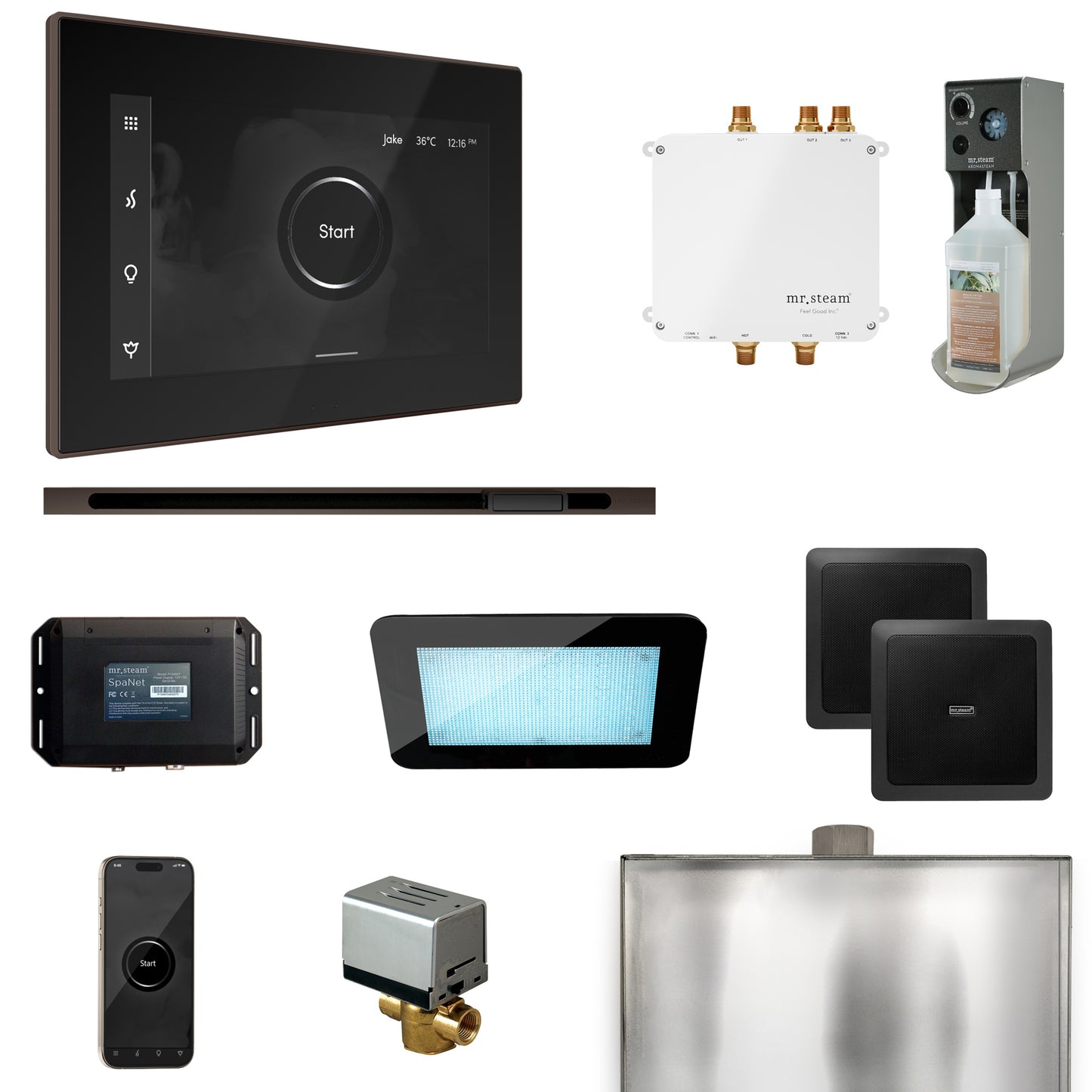 Mr. Steam BLS1-L Bliss Steam Shower Control Package with iSteamX Control and Linear Steamhead