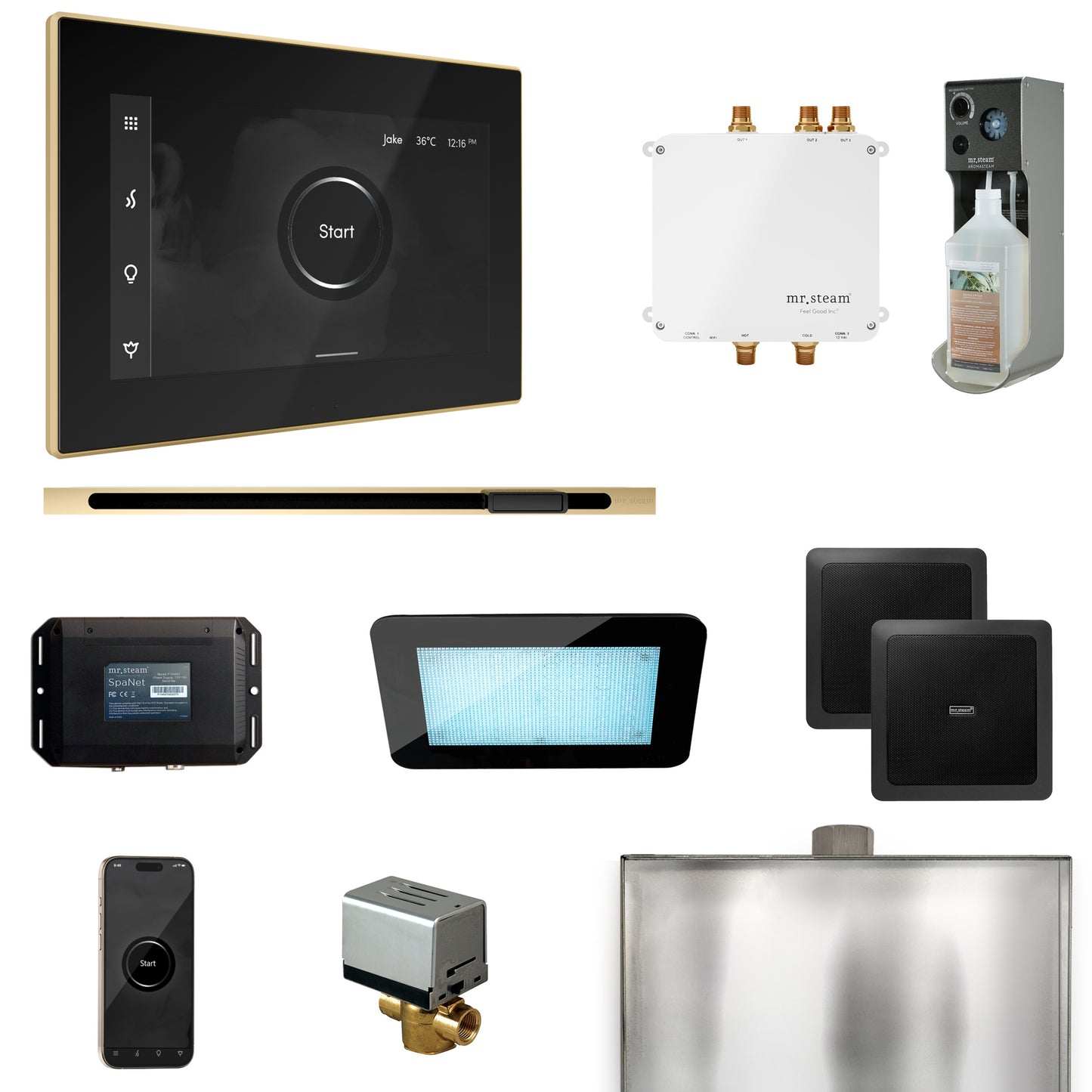 Mr. Steam BLS1-L Bliss Steam Shower Control Package with iSteamX Control and Linear Steamhead